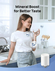 Post Carbon Filter for Water Filter WF511 - CA - DREO