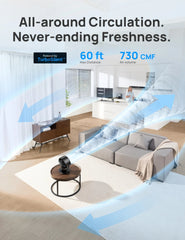 TurboPoly™ Table Fan 315 - DREO